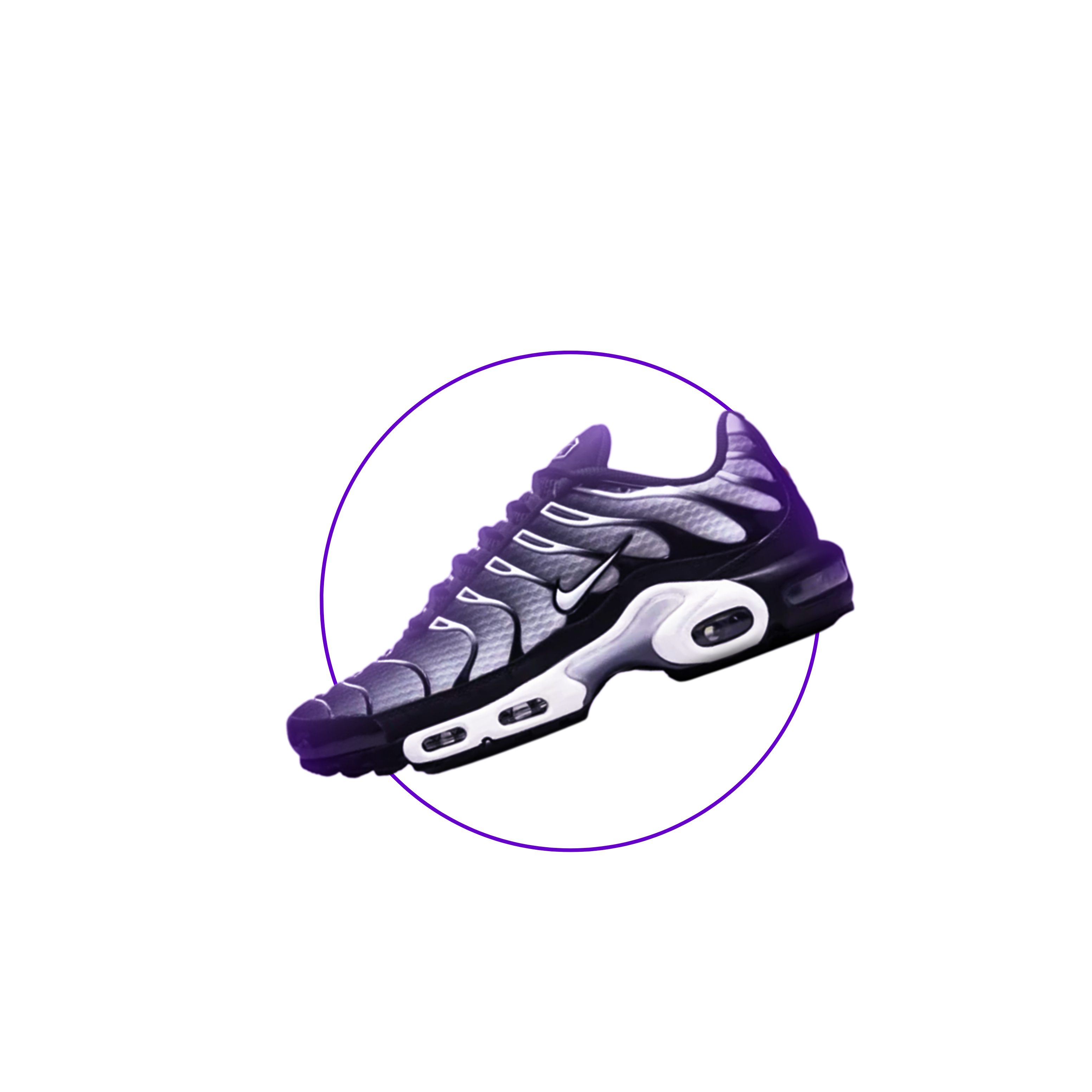 Air Max Plus Tn1