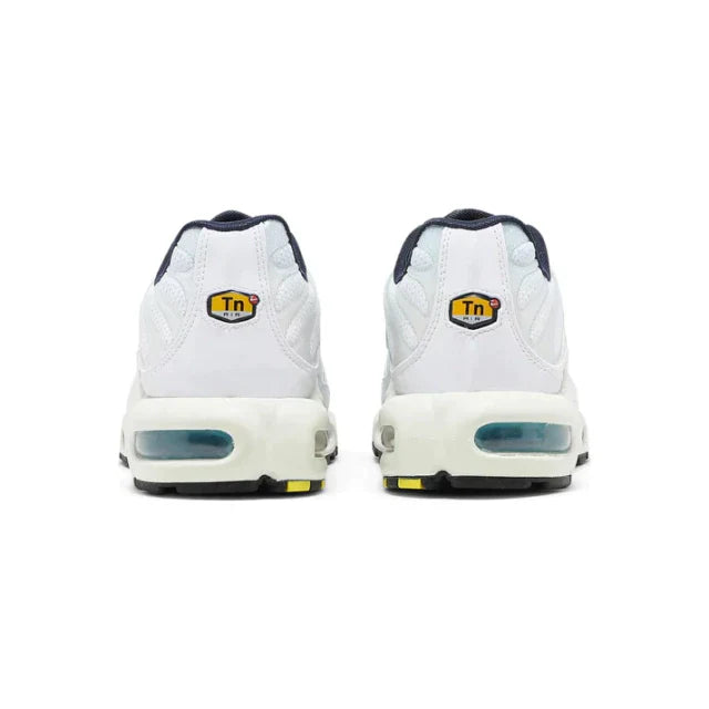 NK AIR MAX PLUS TN ''PSICHYC BLUE''