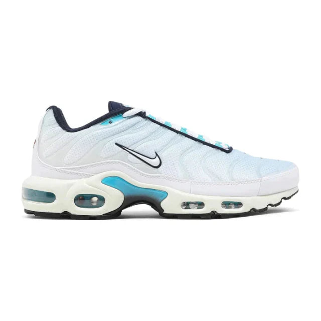NK AIR MAX PLUS TN ''PSICHYC BLUE''