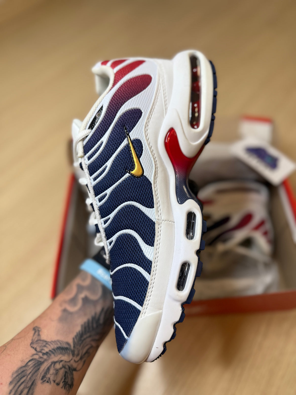 NK AIR MAX PLUS TN ''PSG''