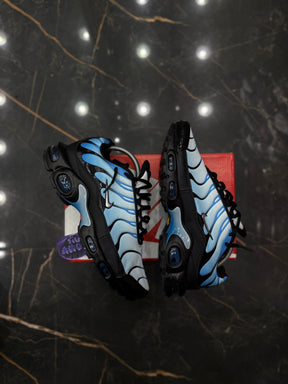 NK AIR MAX PLUS TN ''BLUE GRADIENT''