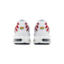 Paris Saint Germain (PSG) x Air Max TN Plus "Home Kit"