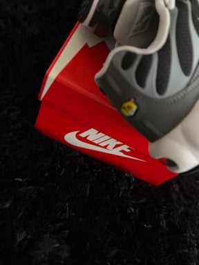 NK AIR MAX PLUS TN “COOL GRAY"