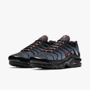 Air max plus TN ''Dracula''