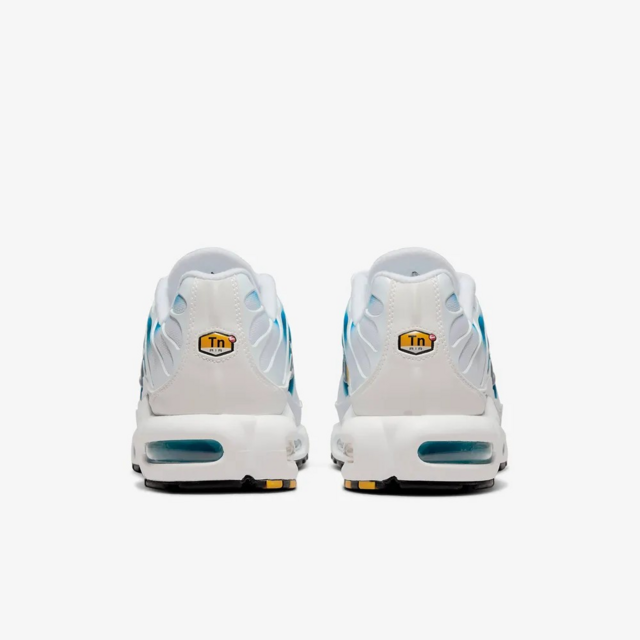 NK AIR MAX PLUS TN "PAINT SWOOSH"